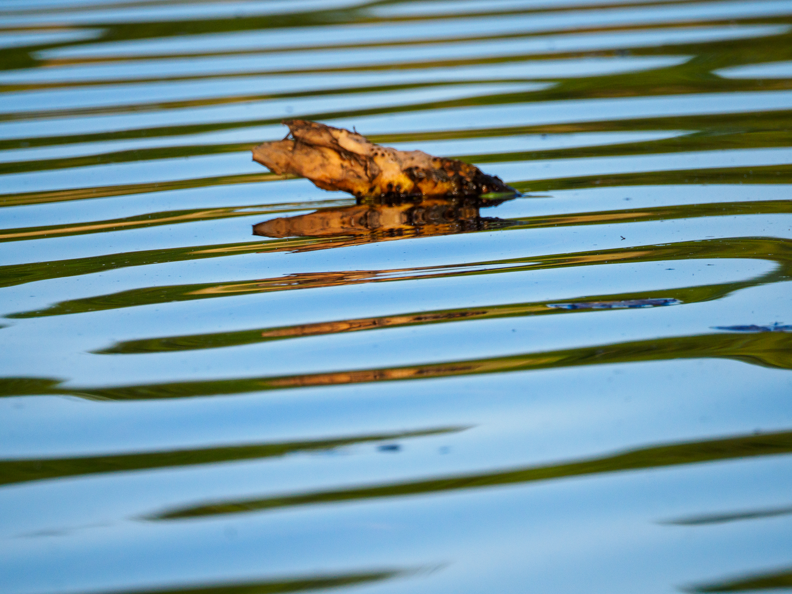 Nazwa:  Bieliki_ 12.jpg
Wyświetleń: 365
Rozmiar:  1,57 MB