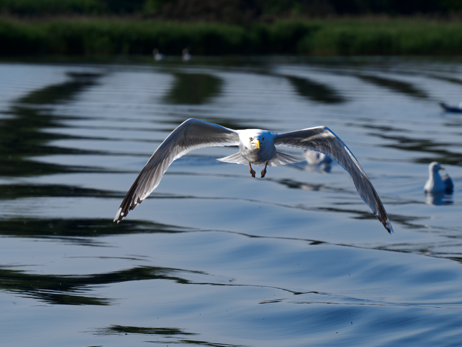Nazwa:  Bieliki_ 28.jpg
Wyświetleń: 177
Rozmiar:  1,05 MB