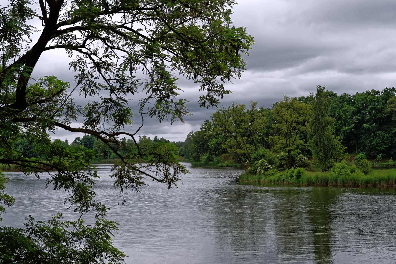 Nazwa:  Grabówiec.jpg
Wyświetleń: 85
Rozmiar:  1,72 MB