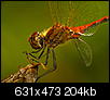 Kliknij obrazek, aby uzyskać większą wersję

Nazwa:	P8081218.JPG
Wyświetleń:	203
Rozmiar:	203,8 KB
ID:	25569