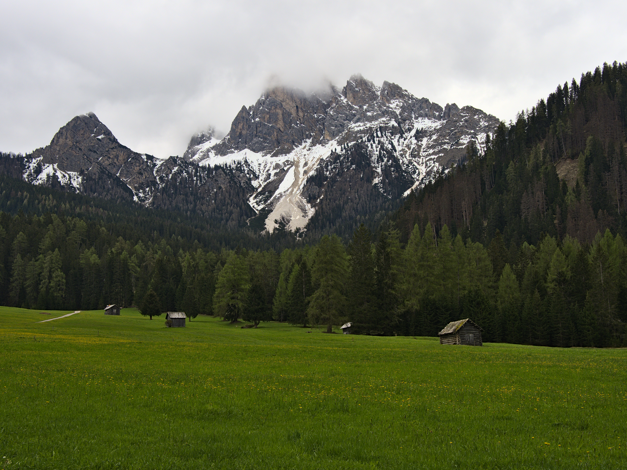 Nazwa:  KS190003.jpg
Wyświetleń: 169
Rozmiar:  4,20 MB