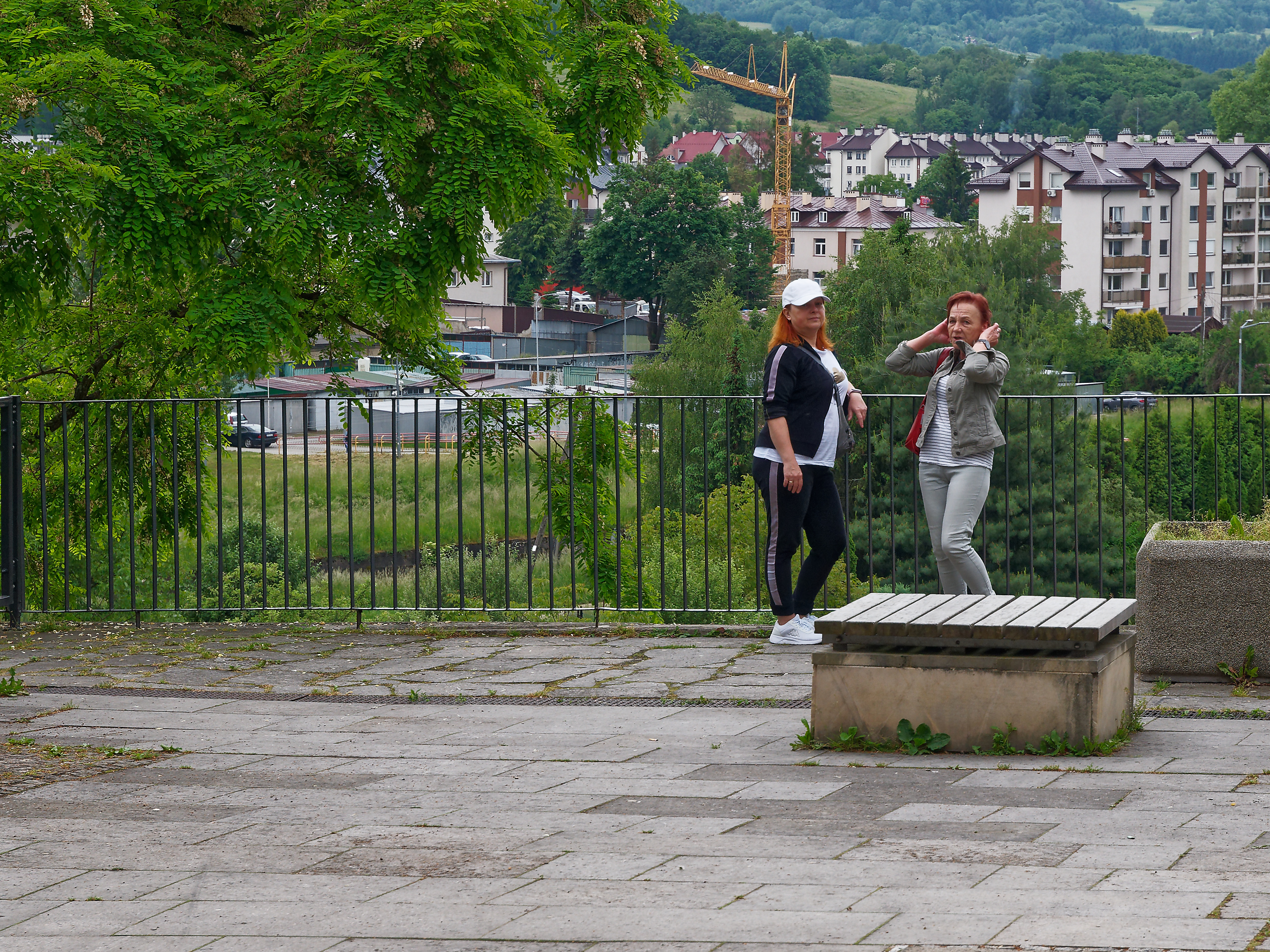 Nazwa:  TROP8655_DxO.jpg
Wyświetleń: 62
Rozmiar:  4,84 MB