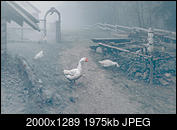 Kliknij obrazek, aby uzyskać większą wersję

Nazwa:	sielsko_FB.jpg
Wyświetleń:	134
Rozmiar:	1,93 MB
ID:	256885