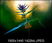 Kliknij obrazek, aby uzyskać większą wersję

Nazwa:	taniec 2.jpg
Wyświetleń:	53
Rozmiar:	1,39 MB
ID:	256919