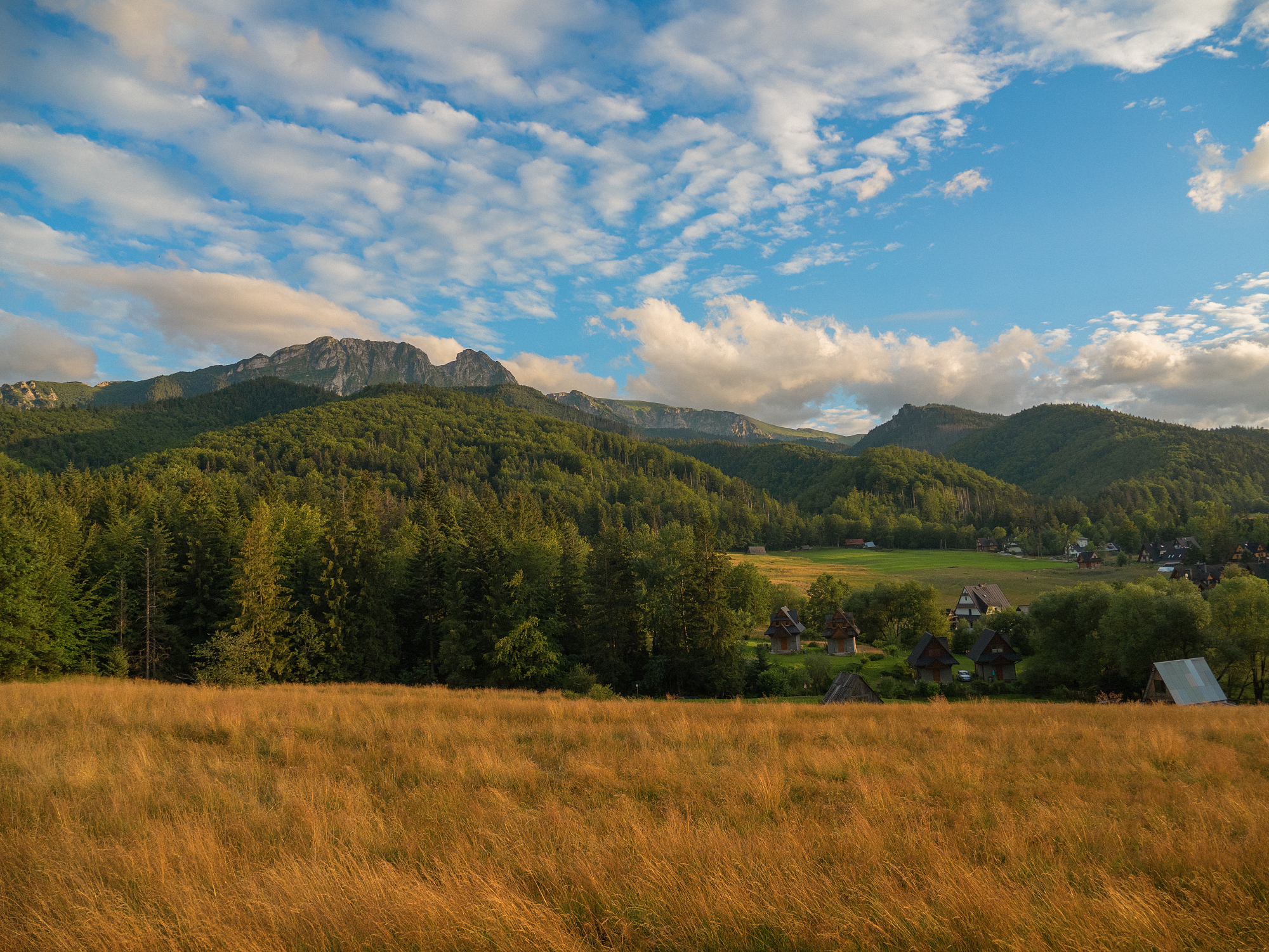 Nazwa:  P8020160_2000x1500.jpg
Wyświetleń: 112
Rozmiar:  4,04 MB
