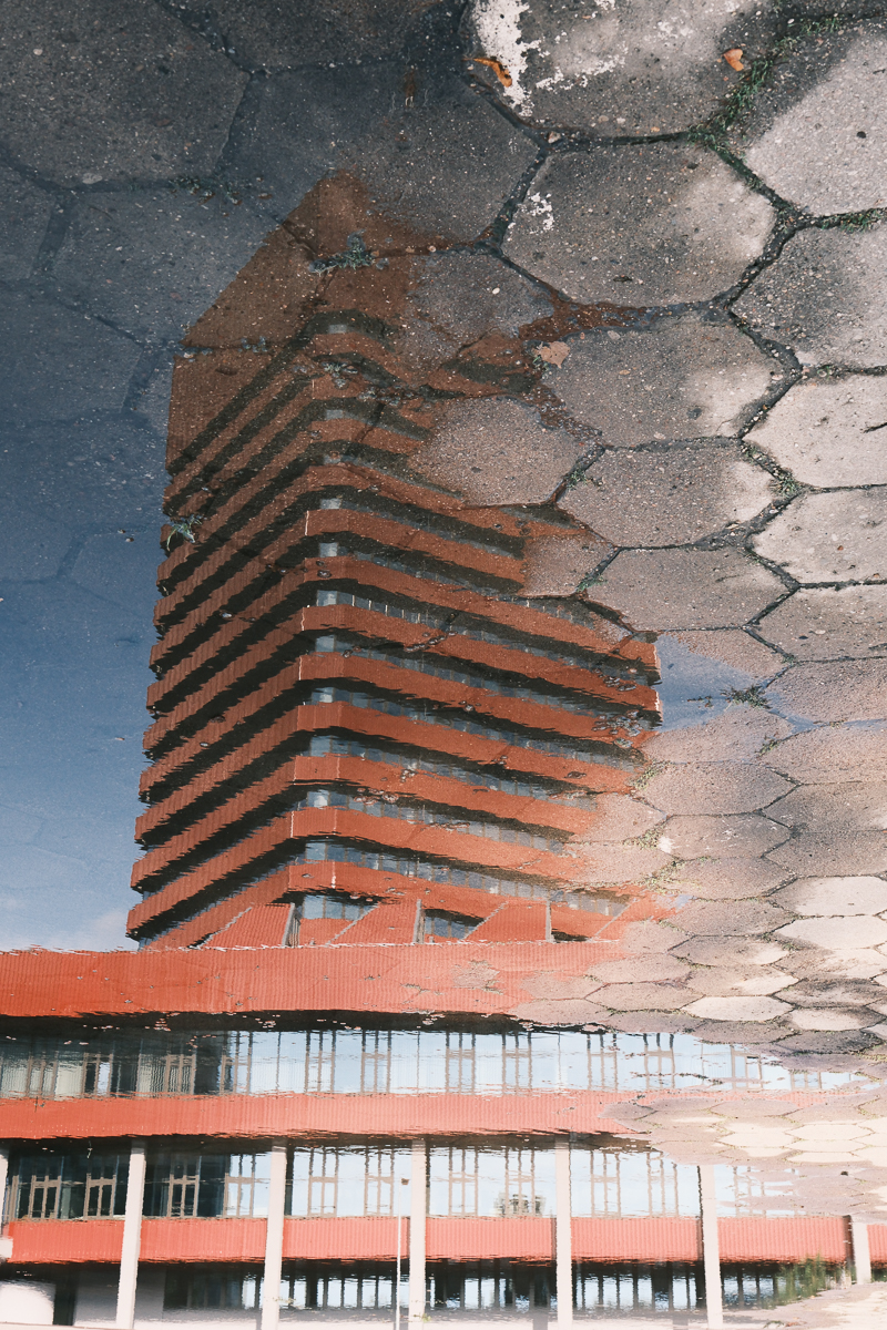 Nazwa:  DSCF6398-2.jpg
Wyświetleń: 132
Rozmiar:  1.023,9 KB