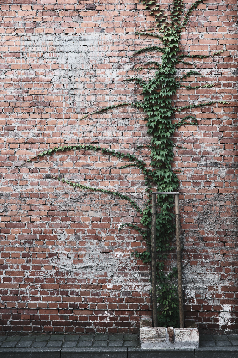 Nazwa:  DSCF7843.jpg
Wyświetleń: 199
Rozmiar:  1,23 MB