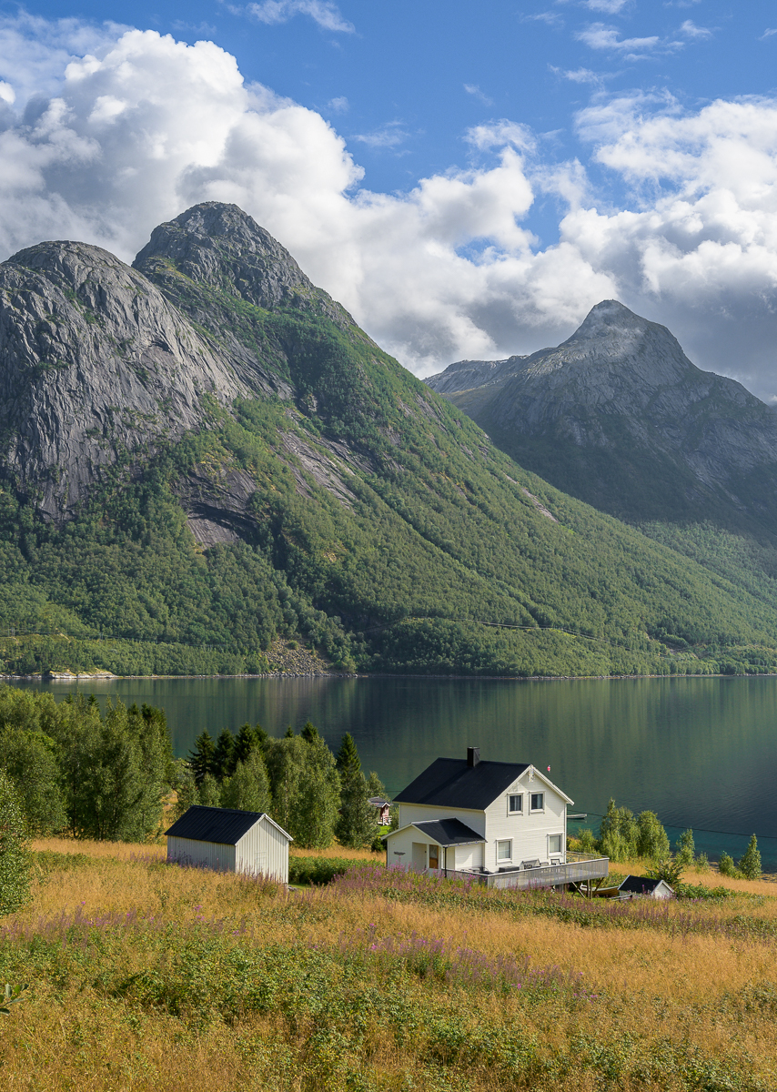 Nazwa:  _7NO3625-2.jpg
Wyświetleń: 159
Rozmiar:  1,20 MB