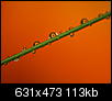 Kliknij obrazek, aby uzyskać większą wersję

Nazwa:	P6267545.JPG
Wyświetleń:	153
Rozmiar:	113,2 KB
ID:	25798