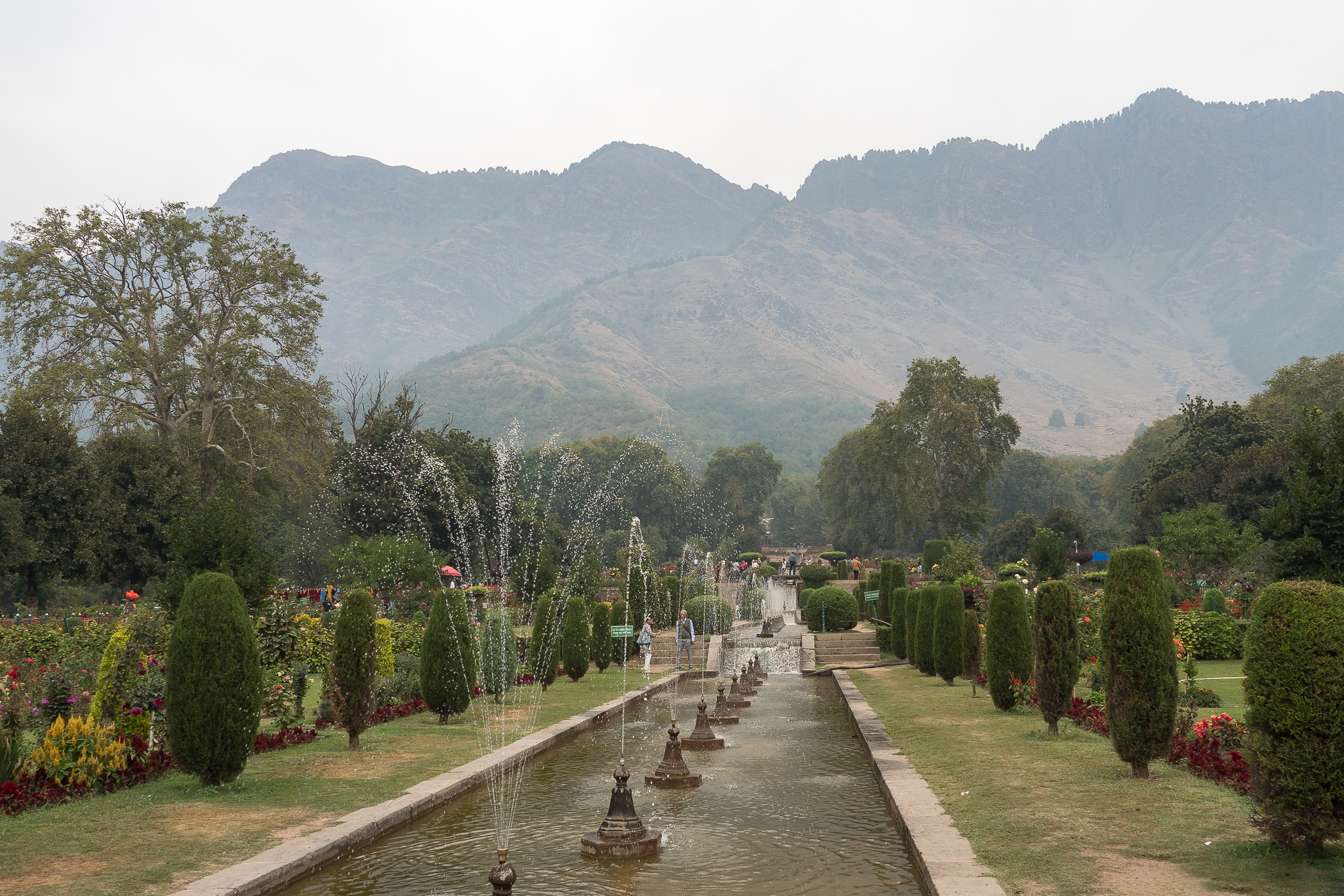 Nazwa:  P9220084.jpg
Wyświetleń: 159
Rozmiar:  2,67 MB