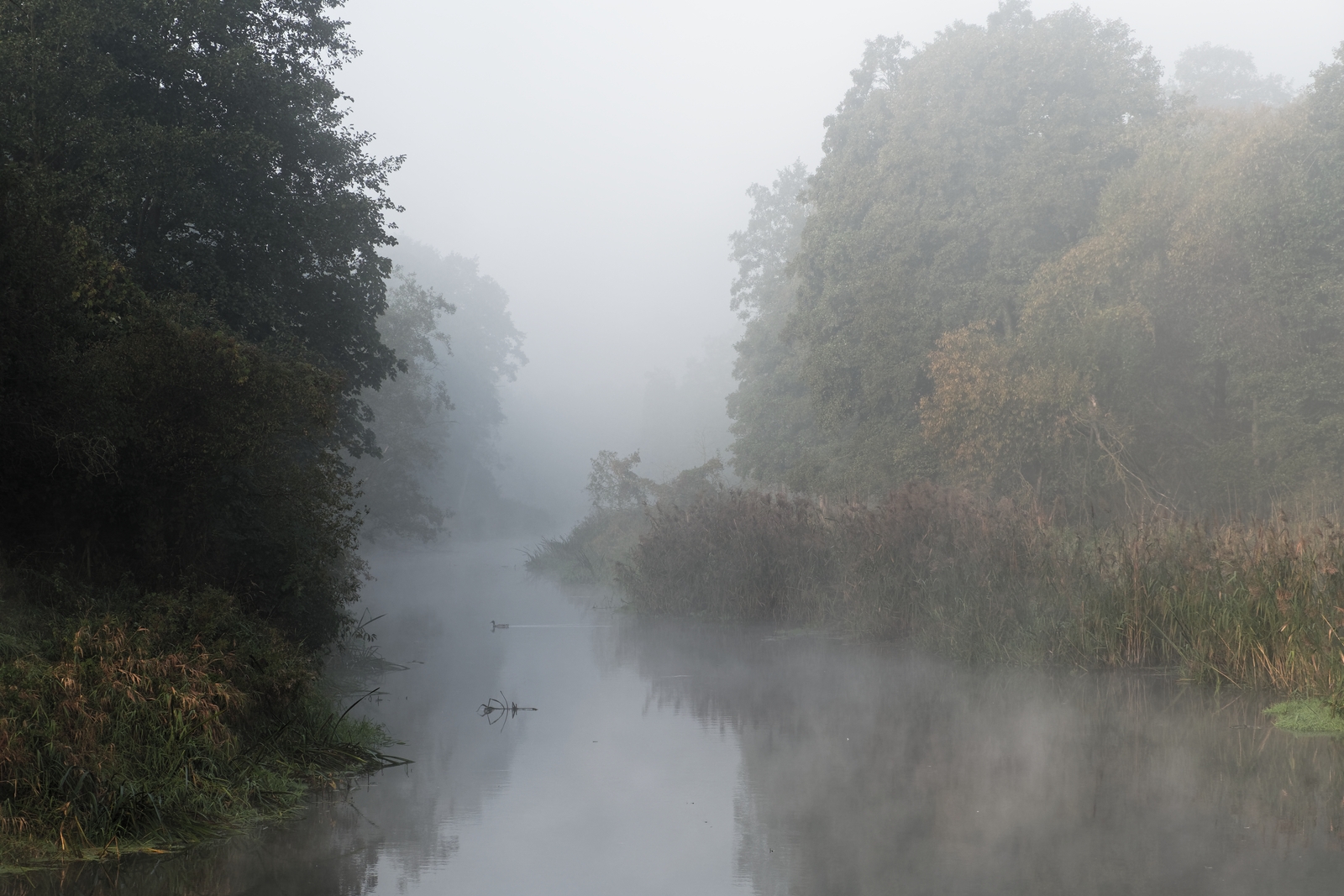Nazwa:  Wkra we mgle.jpg
Wyświetleń: 220
Rozmiar:  989,9 KB