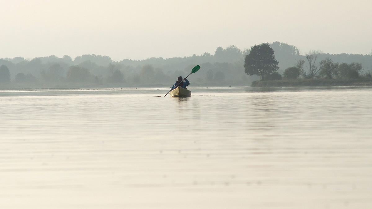 Nazwa:  PA213058.jpg
Wyświetleń: 190
Rozmiar:  100,1 KB