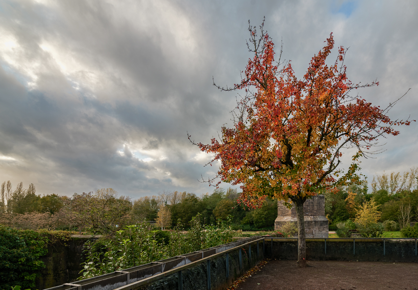 Nazwa:  _JJB0396.jpg
Wyświetleń: 97
Rozmiar:  1,26 MB