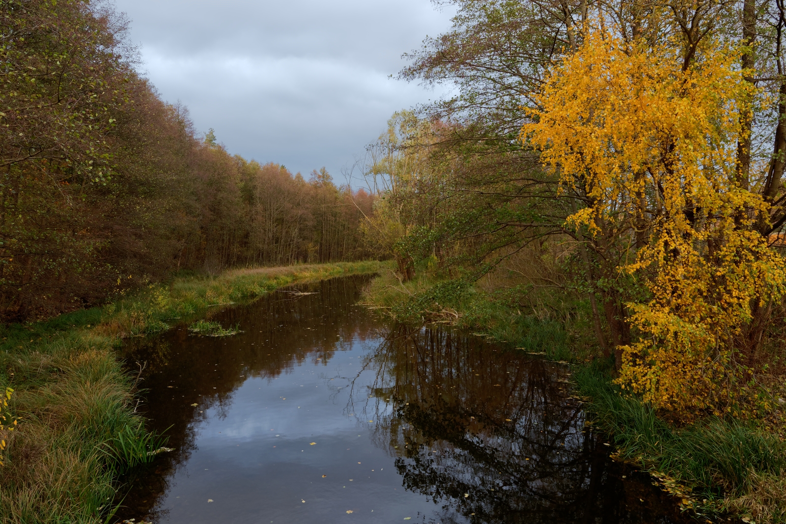 Nazwa:  Rzeka Wel.jpg
Wyświetleń: 137
Rozmiar:  1,72 MB