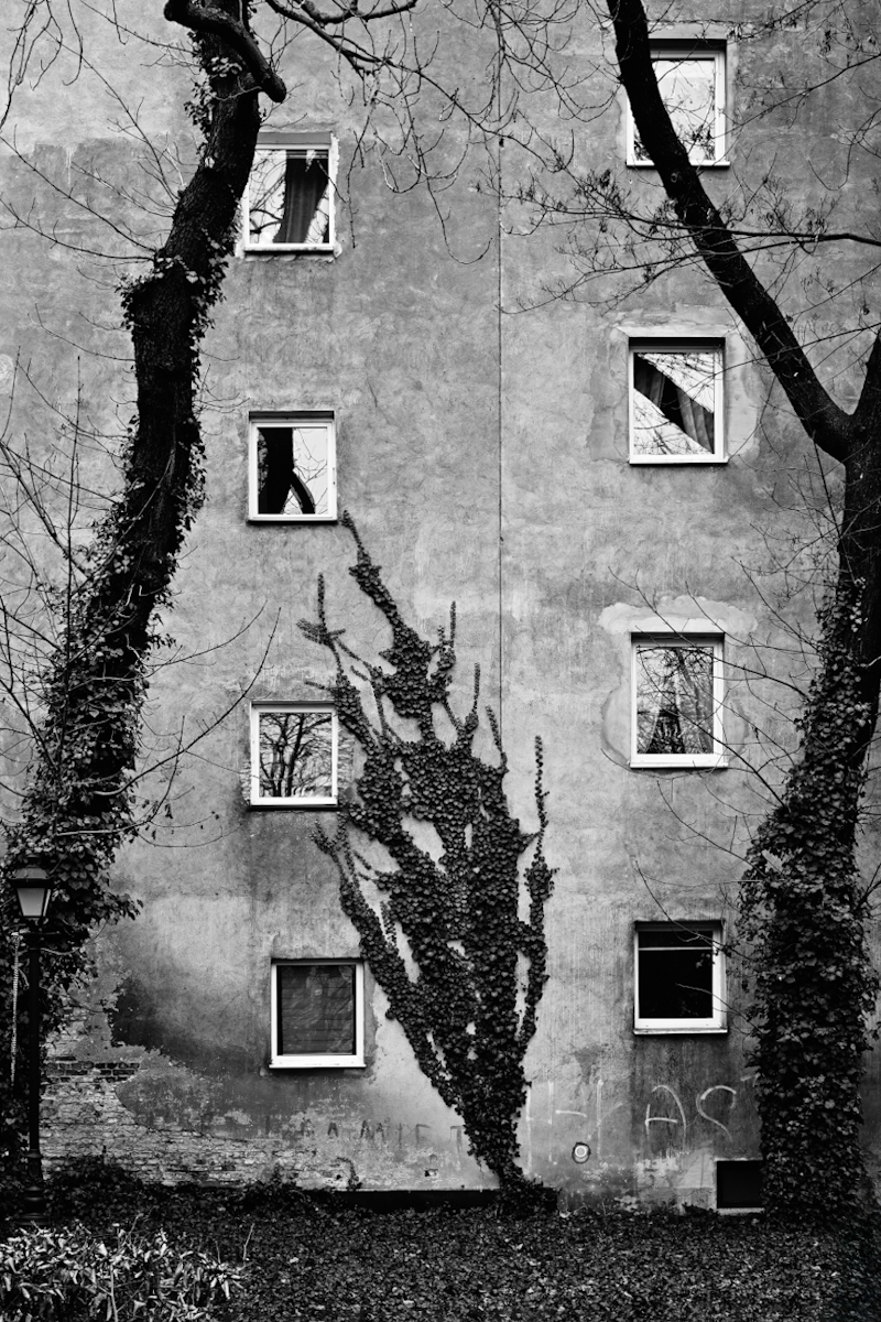 Nazwa:  IMG_0300.jpeg
Wyświetleń: 242
Rozmiar:  808,1 KB