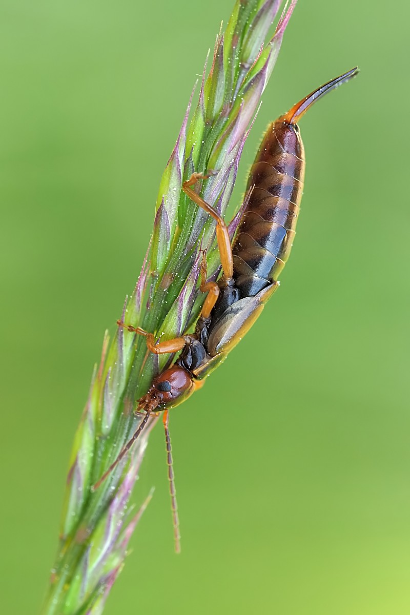 Nazwa:  53515382193_6b1eaf5669_o.jpg
Wyświetleń: 154
Rozmiar:  122,3 KB