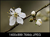 Kliknij obrazek, aby uzyskać większą wersję

Nazwa:	_JJB3325 5.jpg
Wyświetleń:	143
Rozmiar:	763,7 KB
ID:	260679