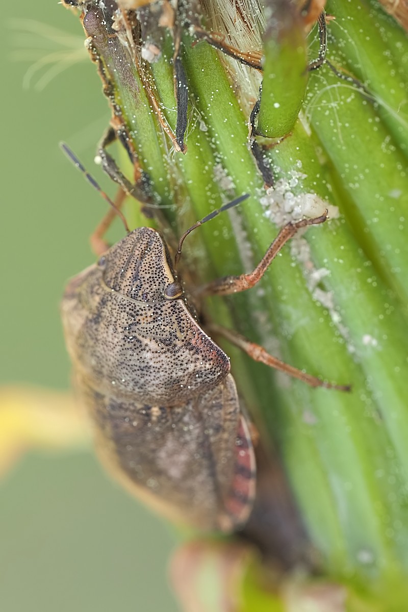 Nazwa:  53554724167_4722771848_o.jpg
Wyświetleń: 154
Rozmiar:  164,4 KB