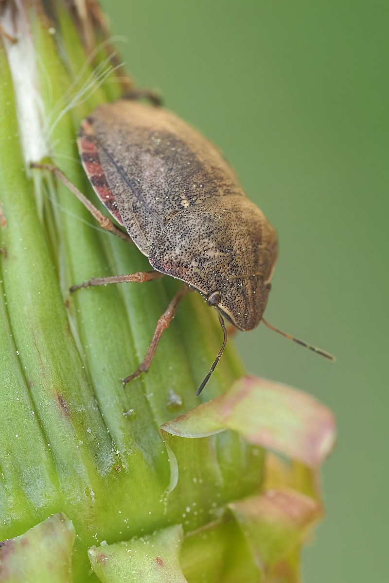 Nazwa:  53555574046_520ea43943_o.jpg
Wyświetleń: 154
Rozmiar:  165,9 KB