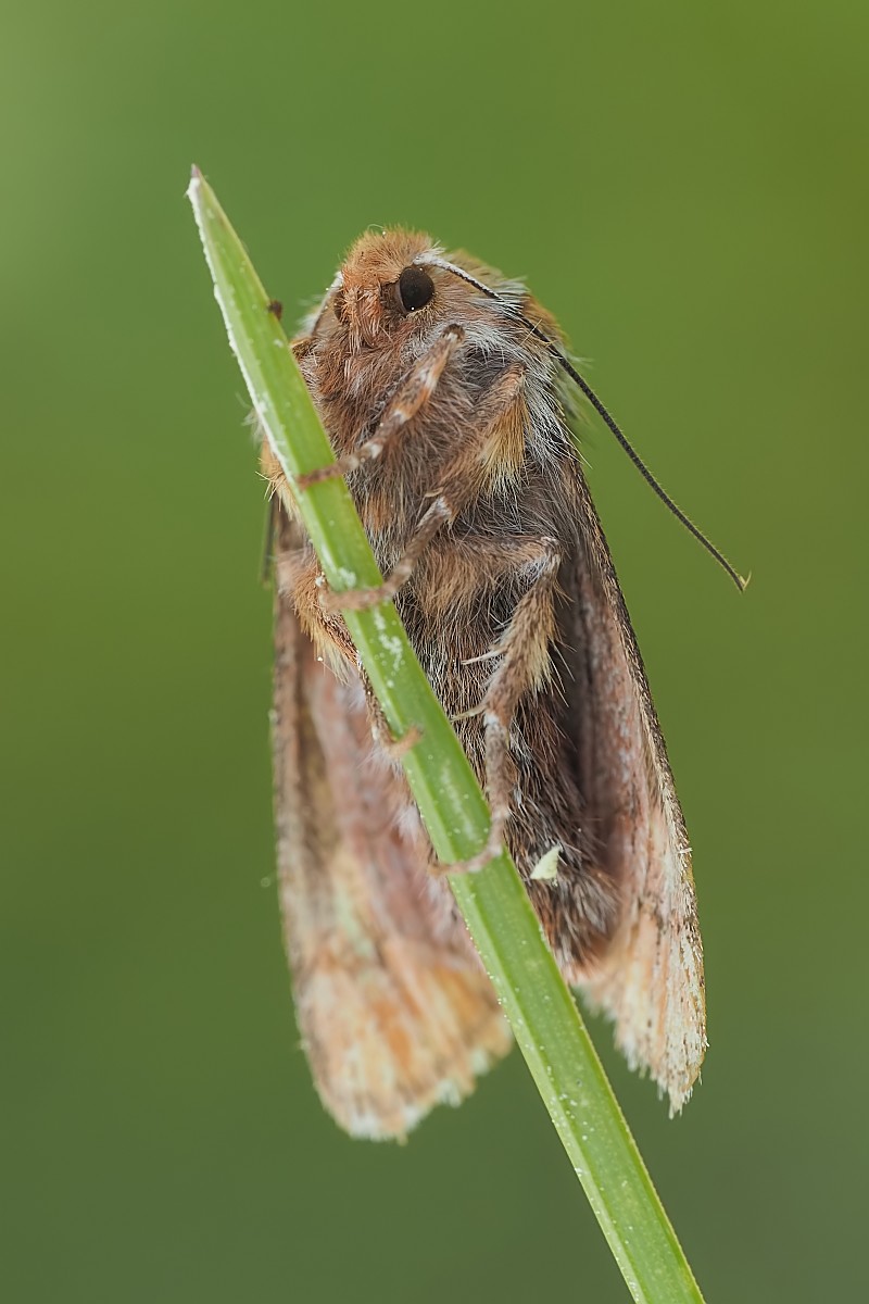 Nazwa:  53555941819_3ee21236b2_o.jpg
Wyświetleń: 150
Rozmiar:  117,8 KB