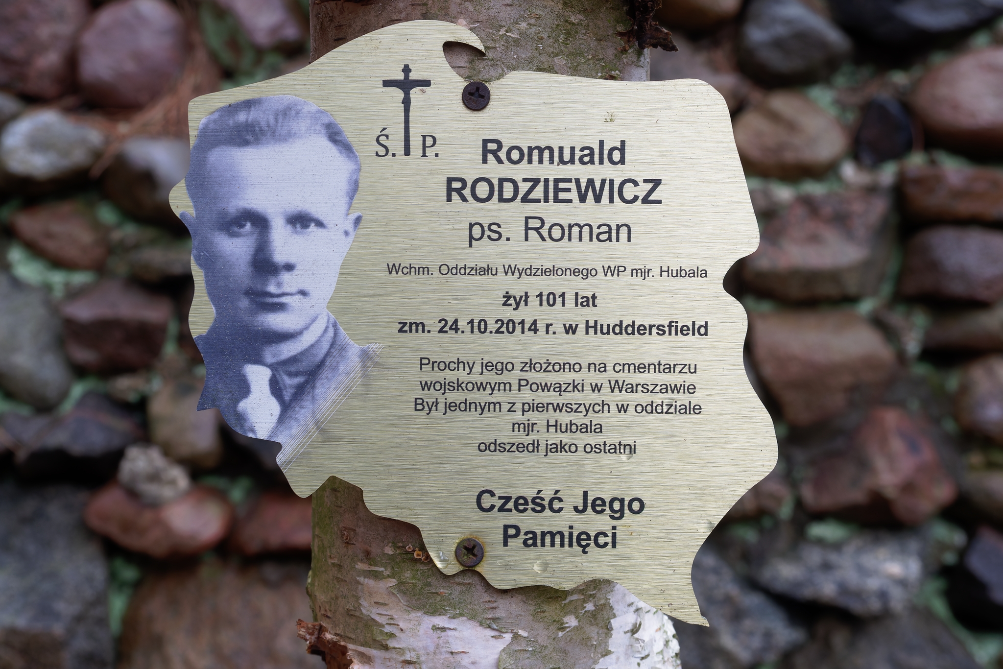 Nazwa:  Hubal 11.jpg
Wyświetleń: 184
Rozmiar:  1,71 MB