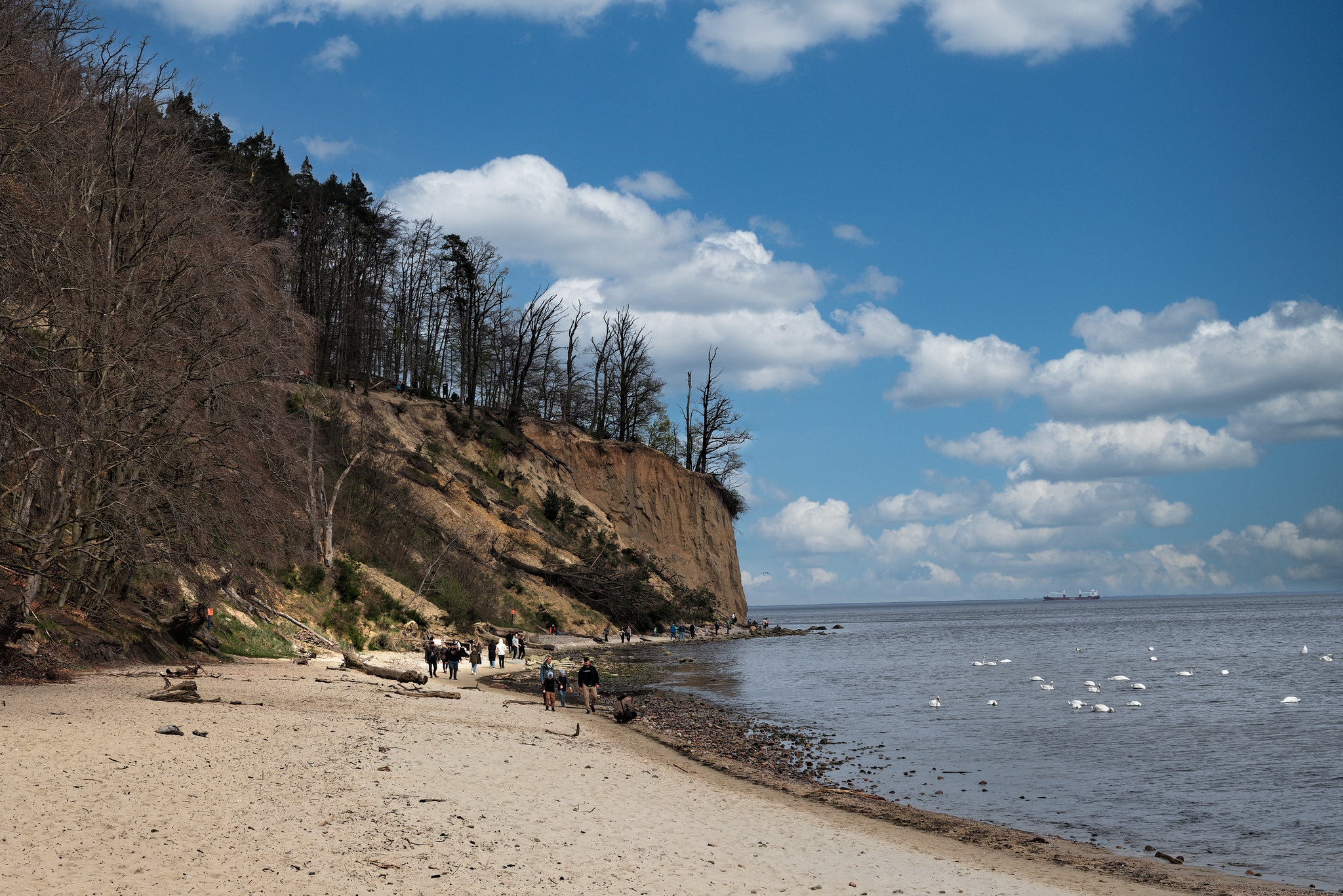 Nazwa:  klif.jpg
Wyświetleń: 191
Rozmiar:  2,29 MB