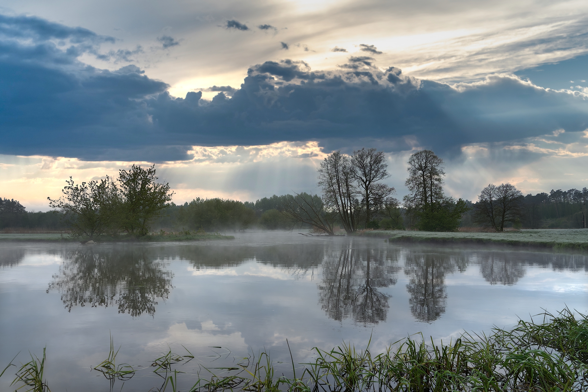 Nazwa:  Drwęca.jpg
Wyświetleń: 184
Rozmiar:  1,85 MB