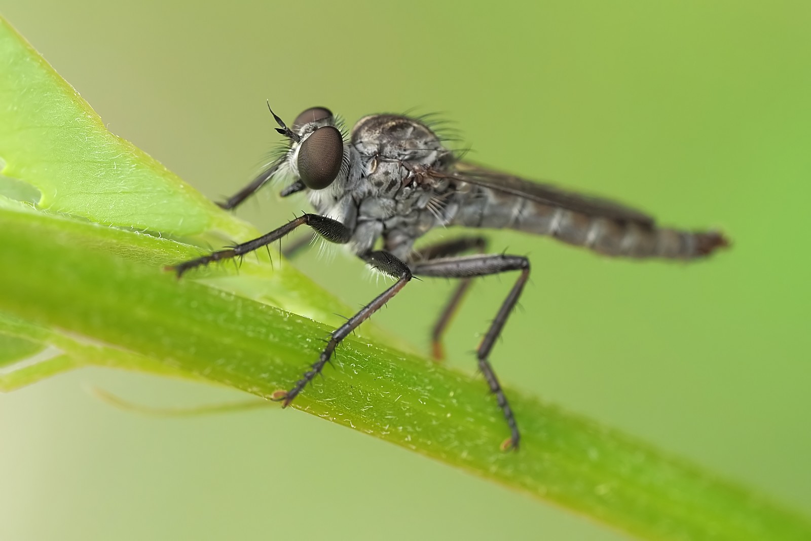 Nazwa:  53666222942_e2377077de_o.jpg
Wyświetleń: 177
Rozmiar:  152,8 KB