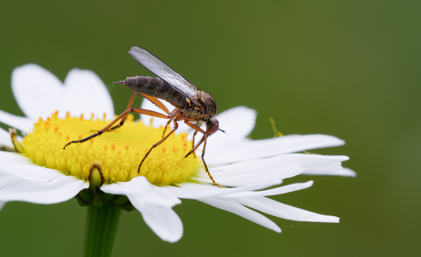 Nazwa:  _JJB4275-Poprawione-Szum.jpg
Wyświetleń: 175
Rozmiar:  560,7 KB