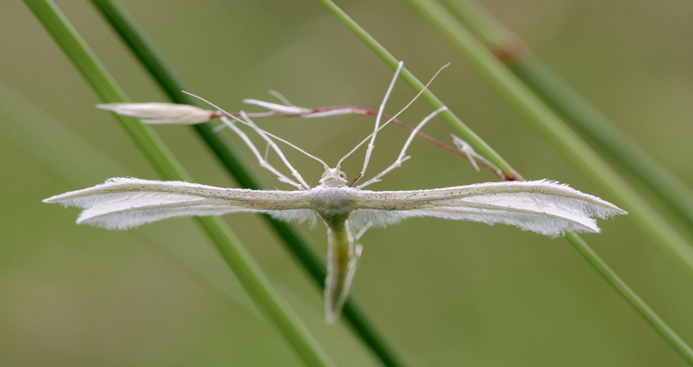 Nazwa:  _JJB4406-RW2-2.jpg
Wyświetleń: 159
Rozmiar:  562,1 KB
