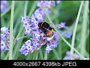 Kliknij obrazek, aby uzyskać większą wersję

Nazwa:	P7018152_raw_OMW.jpg
Wyświetleń:	110
Rozmiar:	4,30 MB
ID:	262506