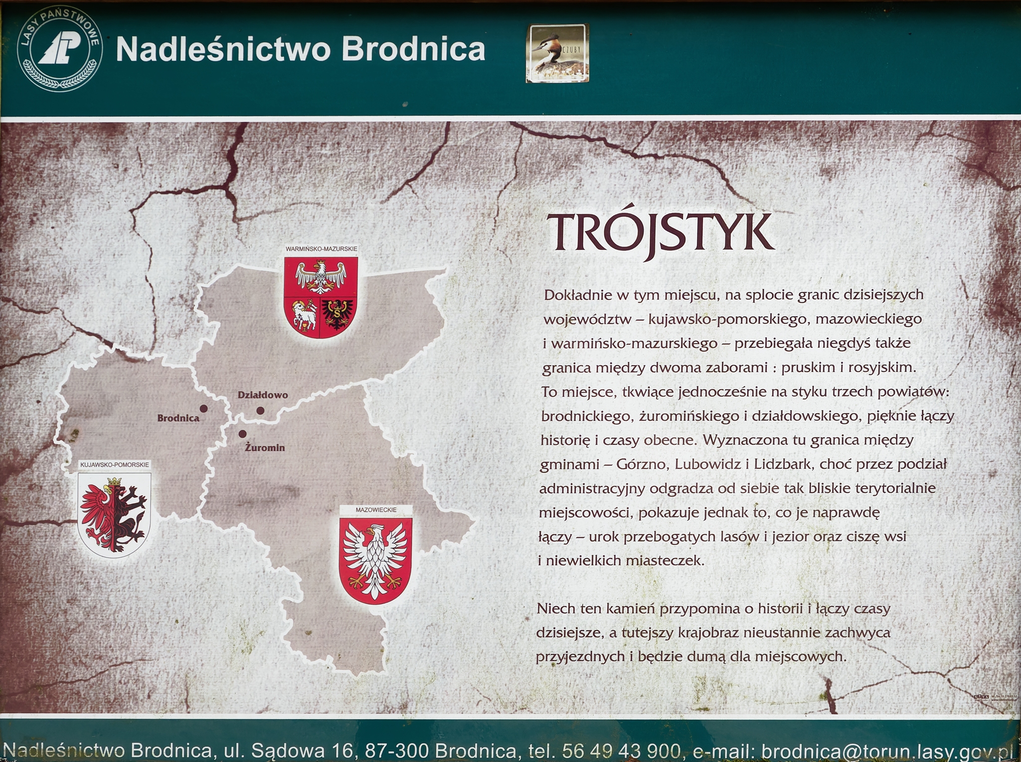 Nazwa:  trójstyk województw 1.jpg
Wyświetleń: 490
Rozmiar:  2,17 MB