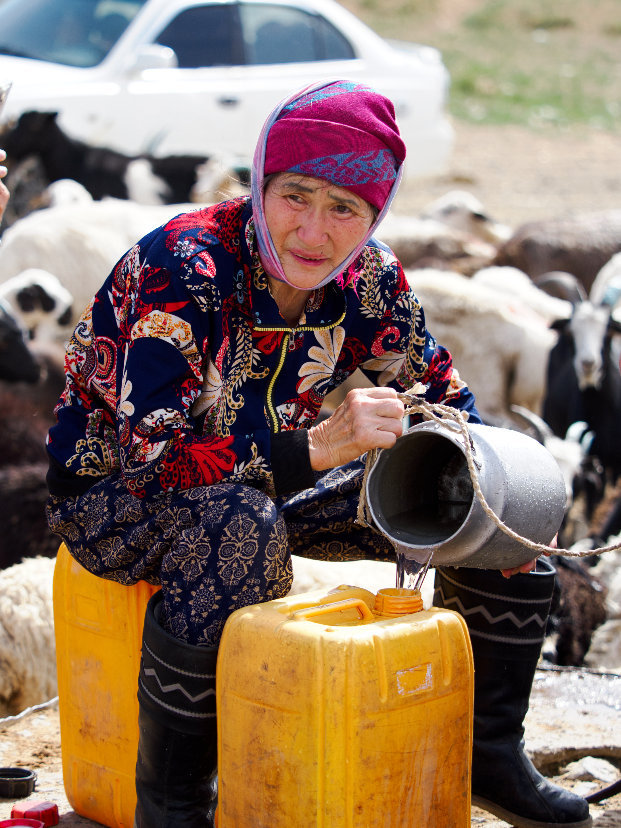 Nazwa:  Mongolia_2024_026.jpg
Wyświetleń: 1236
Rozmiar:  2,71 MB