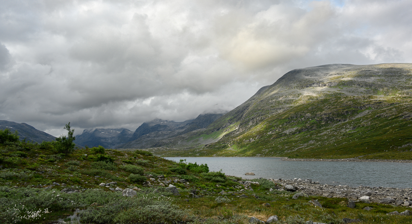 Nazwa:  _Z7N6707-6.jpg
Wyświetleń: 168
Rozmiar:  949,3 KB