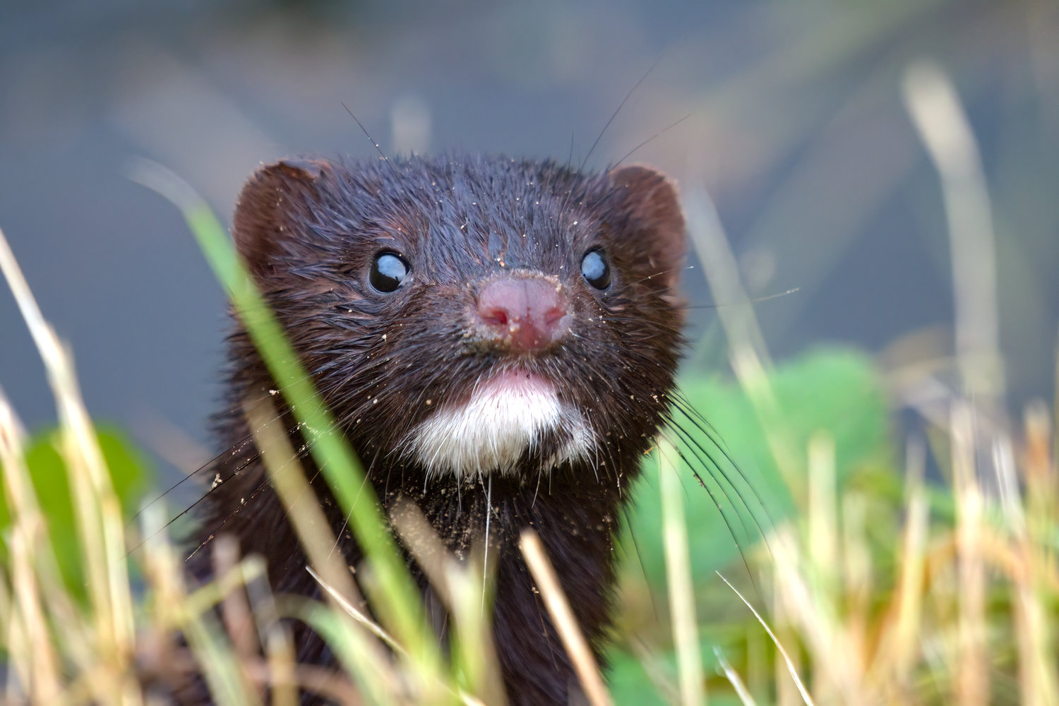 Nazwa:  2024-09-15_091404_EM1x_5_ART_TD_AP_1500px.jpg
Wyświetleń: 430
Rozmiar:  223,1 KB