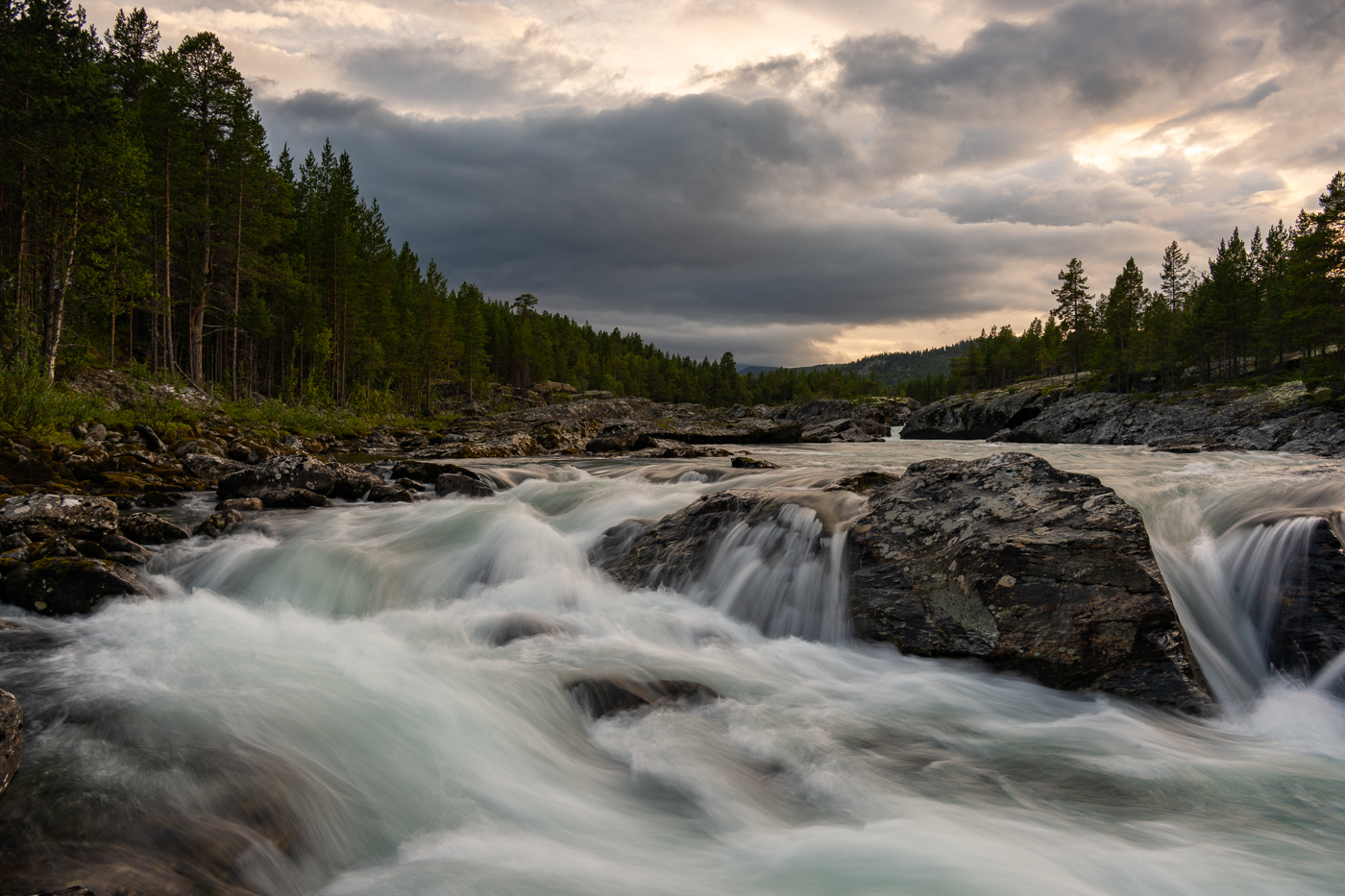 Nazwa:  _Z7N8020.jpg
Wyświetleń: 123
Rozmiar:  995,0 KB