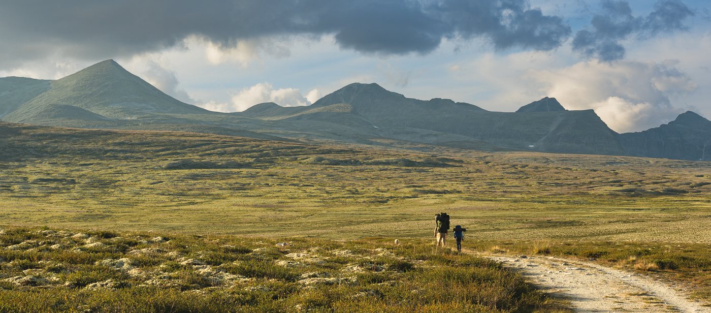 Nazwa:  _Z7N7746-5.jpg
Wyświetleń: 125
Rozmiar:  959,4 KB