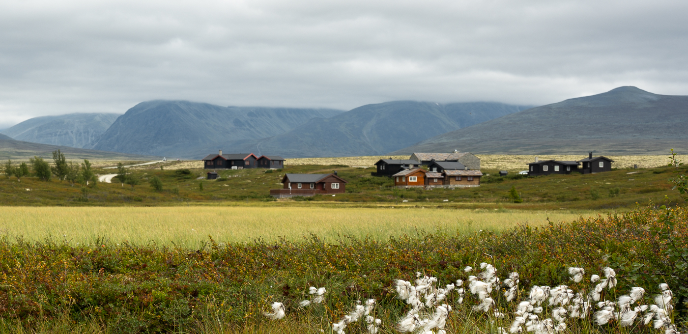 Nazwa:  _Z7N7776-2.jpg
Wyświetleń: 118
Rozmiar:  872,6 KB