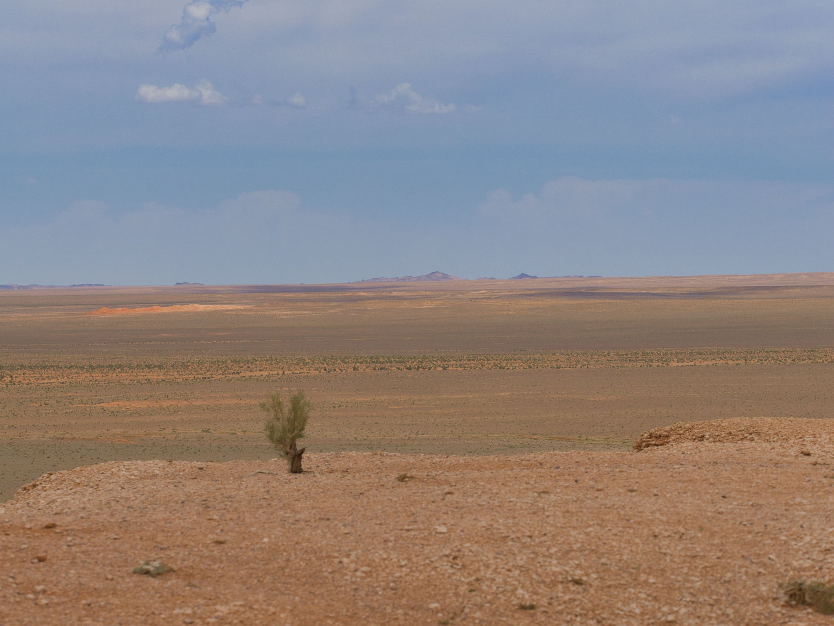 Nazwa:  Mongolia_2024_033.jpg
Wyświetleń: 231
Rozmiar:  2,16 MB