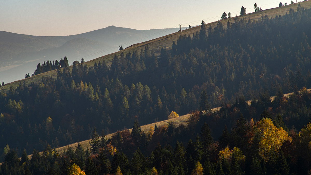 Nazwa:  PA256508.jpg
Wyświetleń: 173
Rozmiar:  258,2 KB