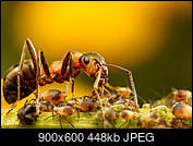 Kliknij obrazek, aby uzyskać większą wersję

Nazwa:	_OZO2270.JPG
Wyświetleń:	414
Rozmiar:	448,4 KB
ID:	264465