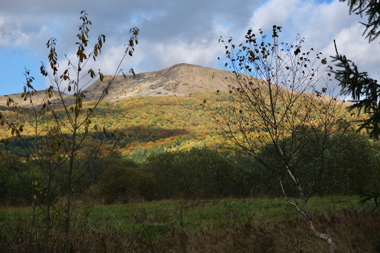 Nazwa:  DSCF5303.jpeg
Wyświetleń: 164
Rozmiar:  388,6 KB