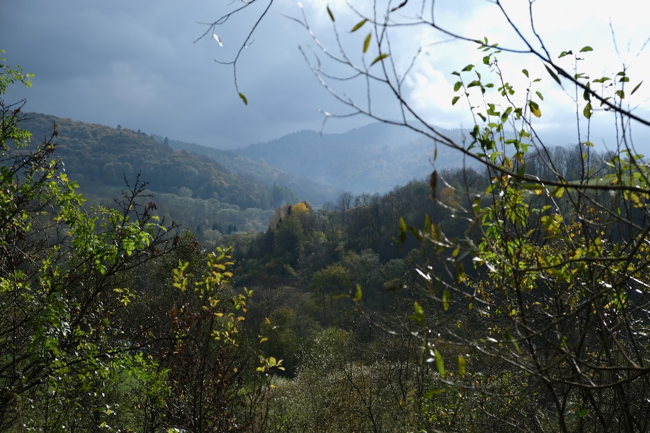 Nazwa:  DSCF5312.jpeg
Wyświetleń: 161
Rozmiar:  400,1 KB