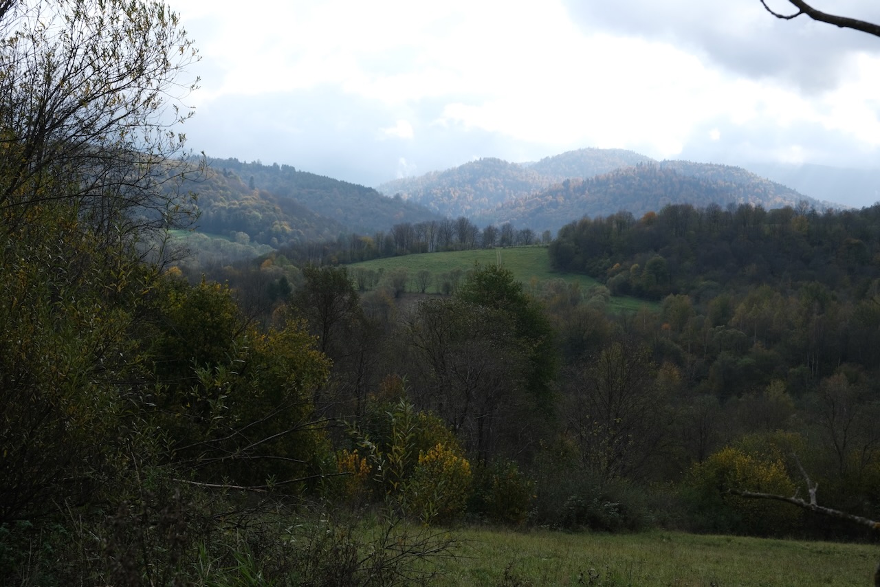 Nazwa:  DSCF5314.jpeg
Wyświetleń: 146
Rozmiar:  285,0 KB