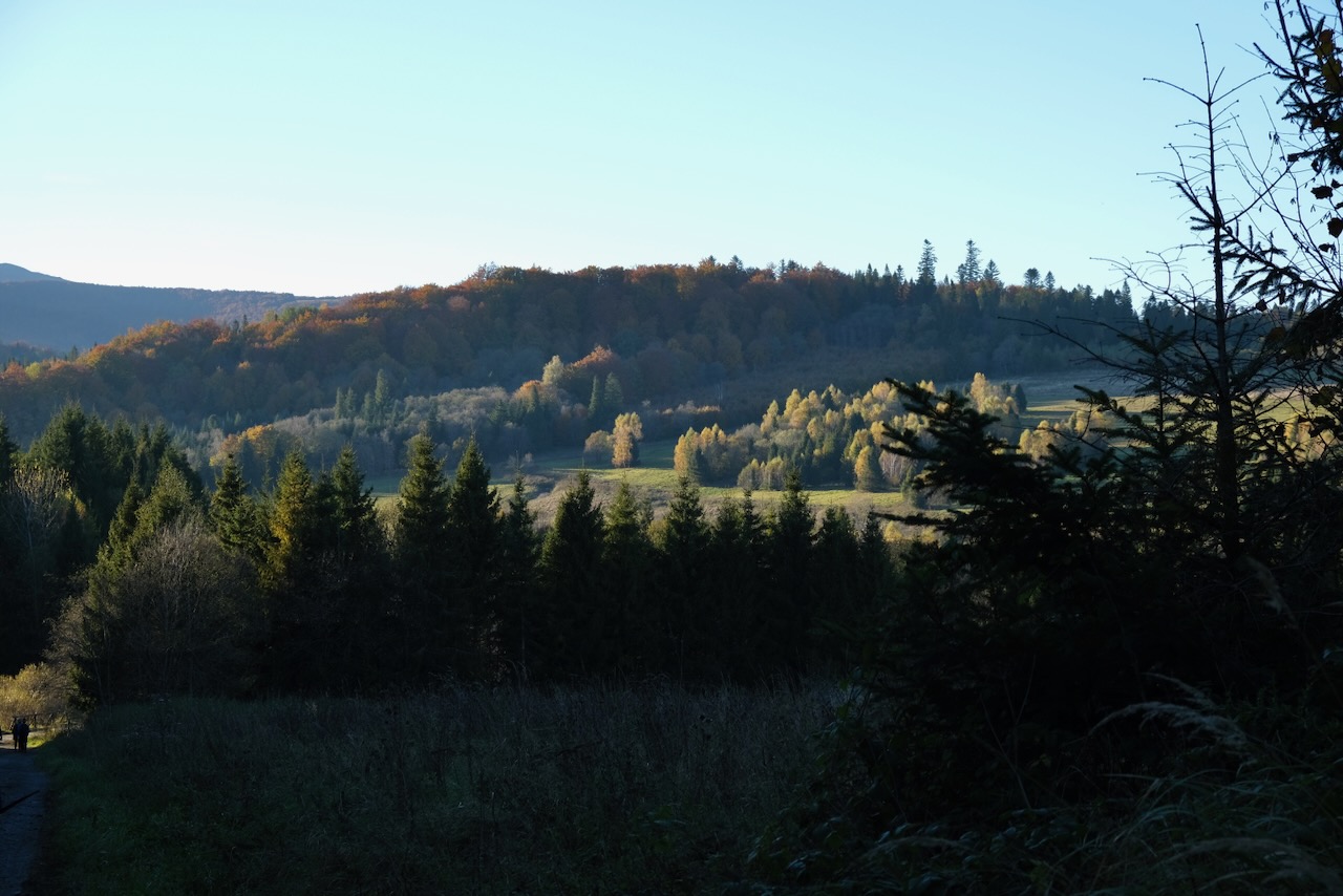 Nazwa:  DSCF5421.jpeg
Wyświetleń: 340
Rozmiar:  254,1 KB