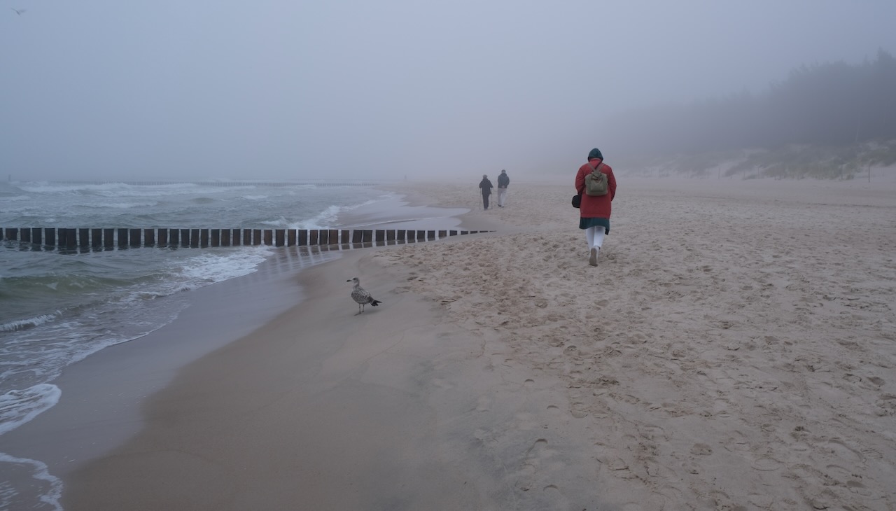 Nazwa:  DSCF5101.jpeg
Wyświetleń: 130
Rozmiar:  129,3 KB