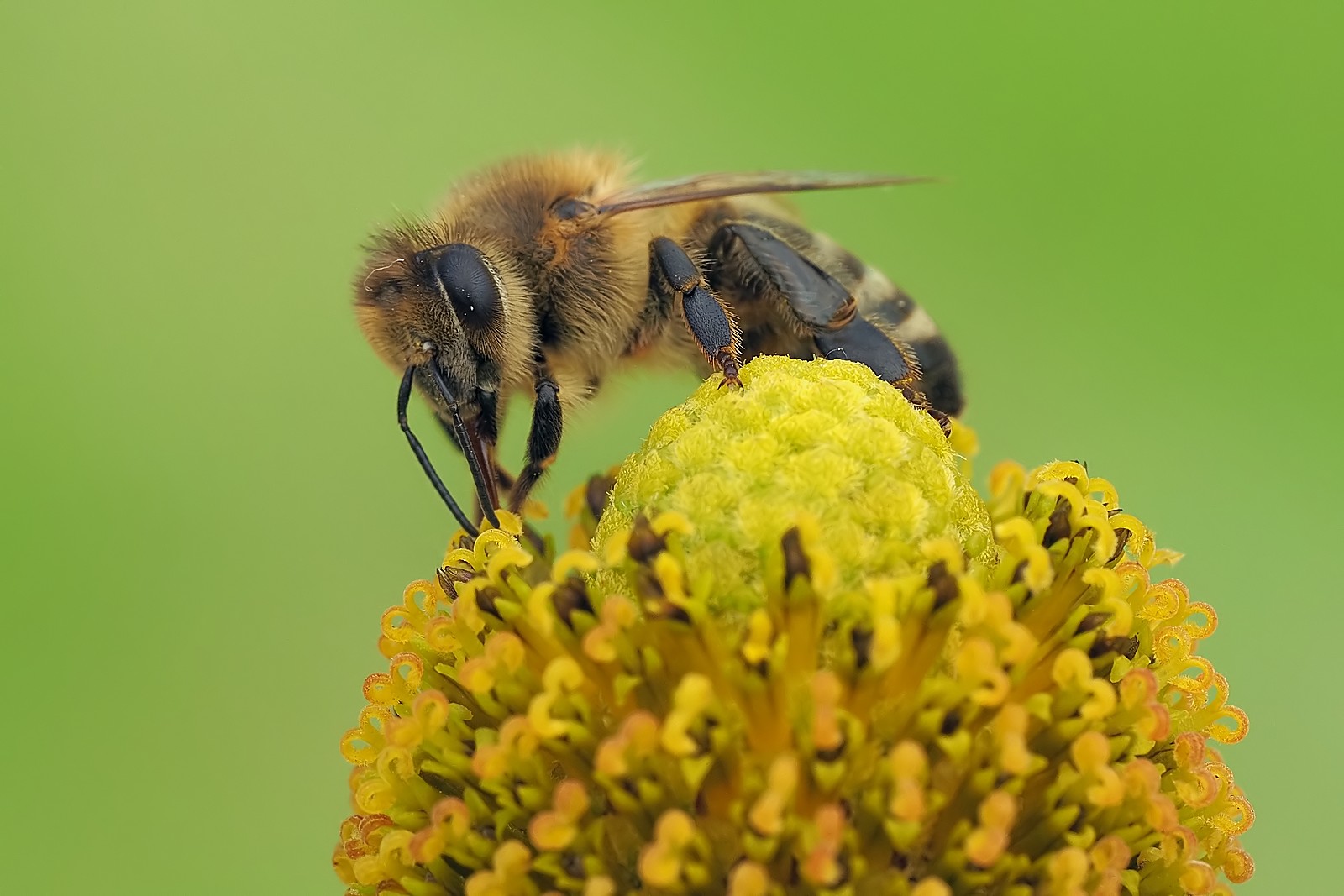 Nazwa:  54323714917_a93760dc9a_o.jpg
Wyświetleń: 86
Rozmiar:  216,0 KB