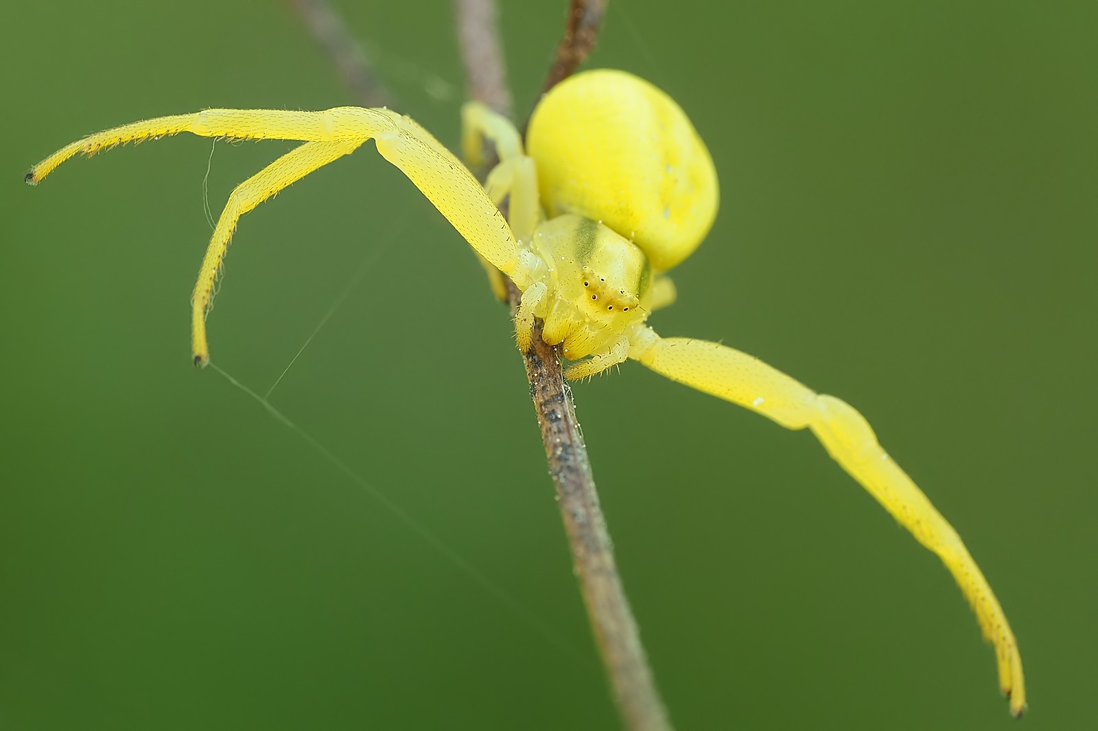 Nazwa:  54334604415_80c358b88a_o.jpg
Wyświetleń: 48
Rozmiar:  119,5 KB