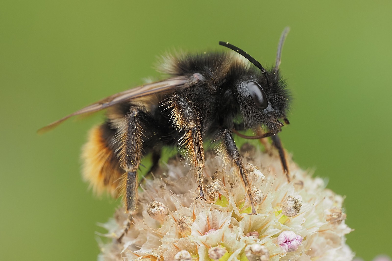 Nazwa:  54385867587_f30e998d6a_o.jpg
Wyświetleń: 44
Rozmiar:  269,0 KB