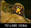 Kliknij obrazek, aby uzyskać większą wersję

Nazwa:	P9284814.JPG
Wyświetleń:	221
Rozmiar:	192,7 KB
ID:	26650